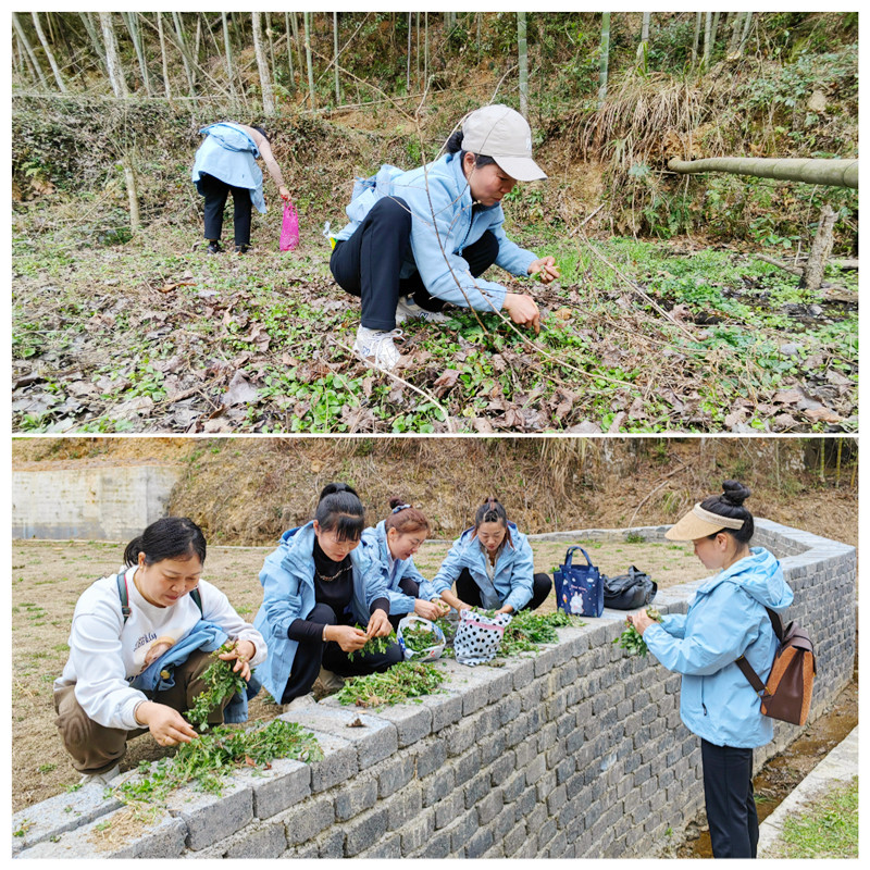 1678331768858162.jpg 挖野菜_副本.jpg